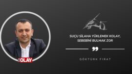Suçu Silaha Yüklemek Kolay, Sebebini Bulmak Zor